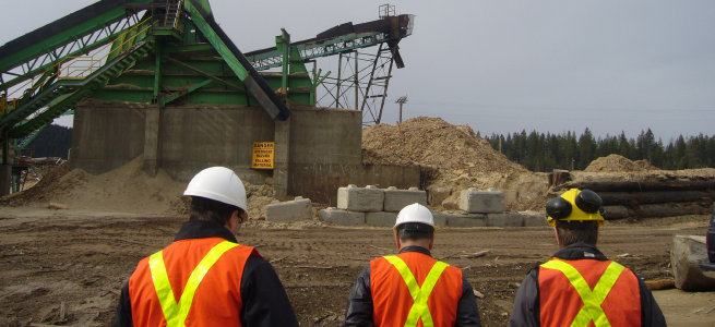 site visit at a sawmill in Elko